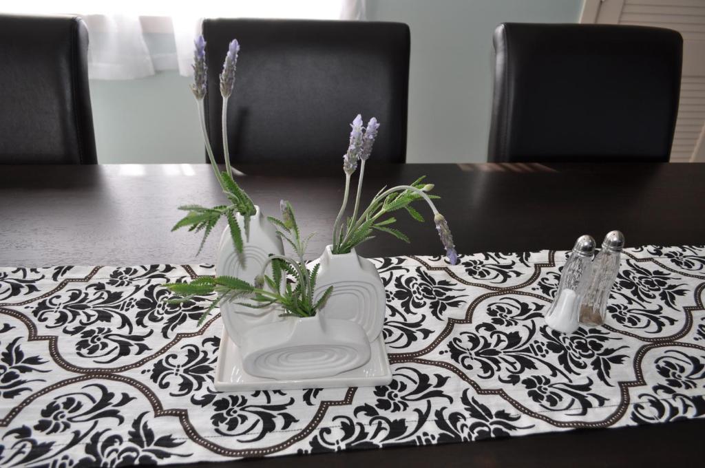 16 Havelock Bed & Breakfast New Plymouth Eksteriør bilde